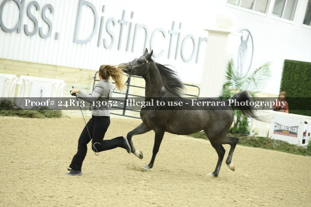 Proof Number 24R13_13052