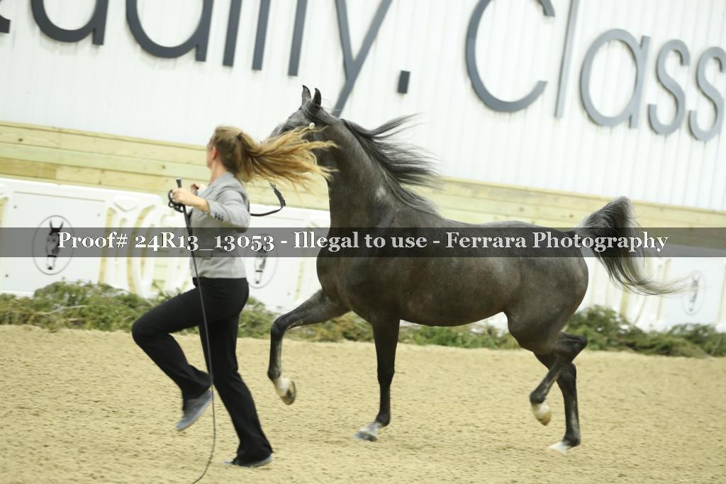 Proof Number 24R13_13053