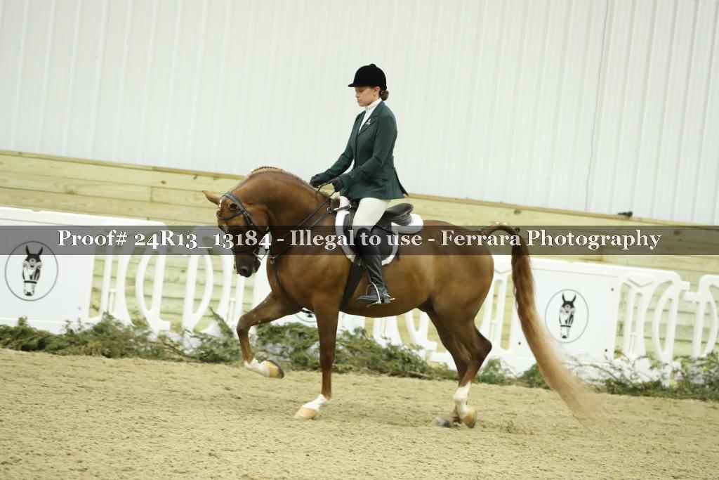 Proof Number 24R13_13184