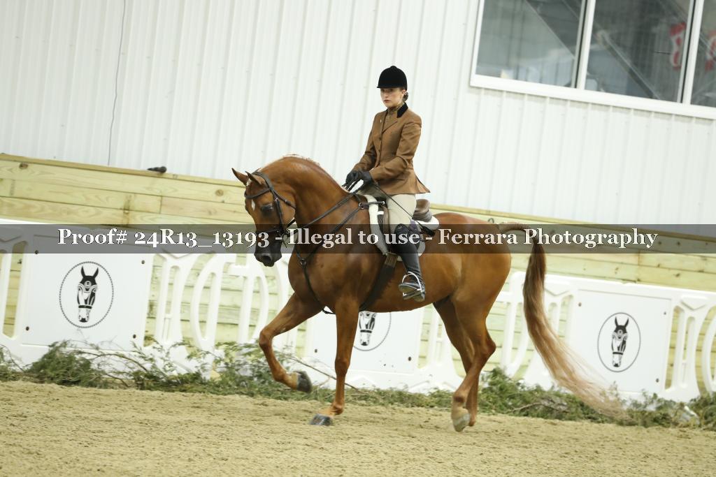 Proof Number 24R13_13193