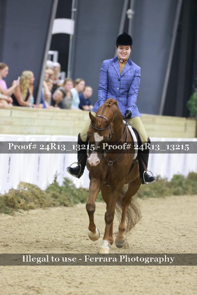 Proof Number 24R13_13215