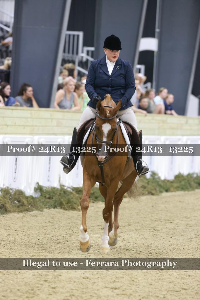 Proof Number 24R13_13225