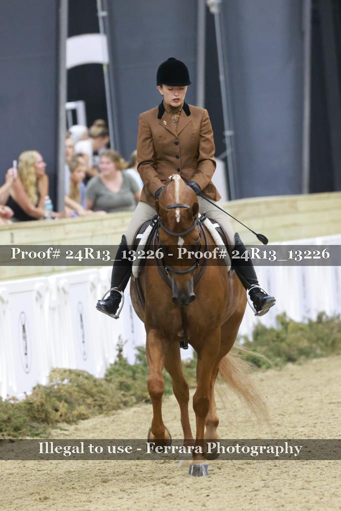 Proof Number 24R13_13226