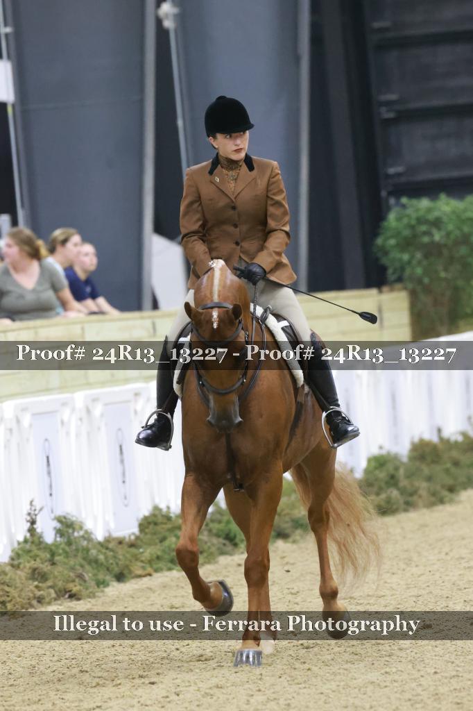 Proof Number 24R13_13227