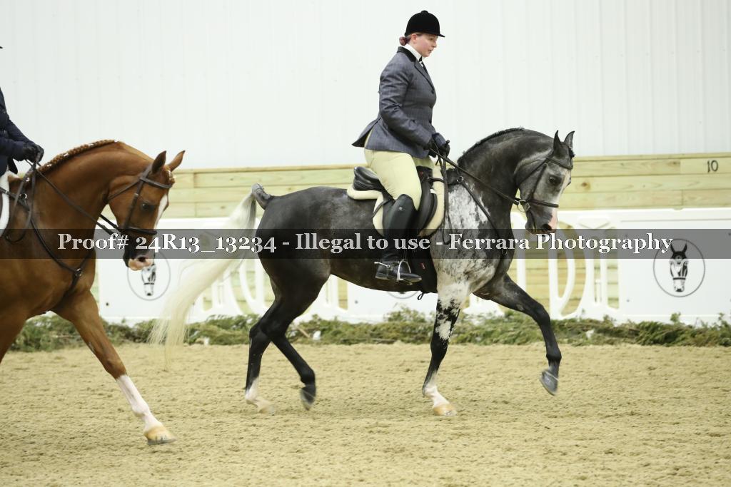Proof Number 24R13_13234
