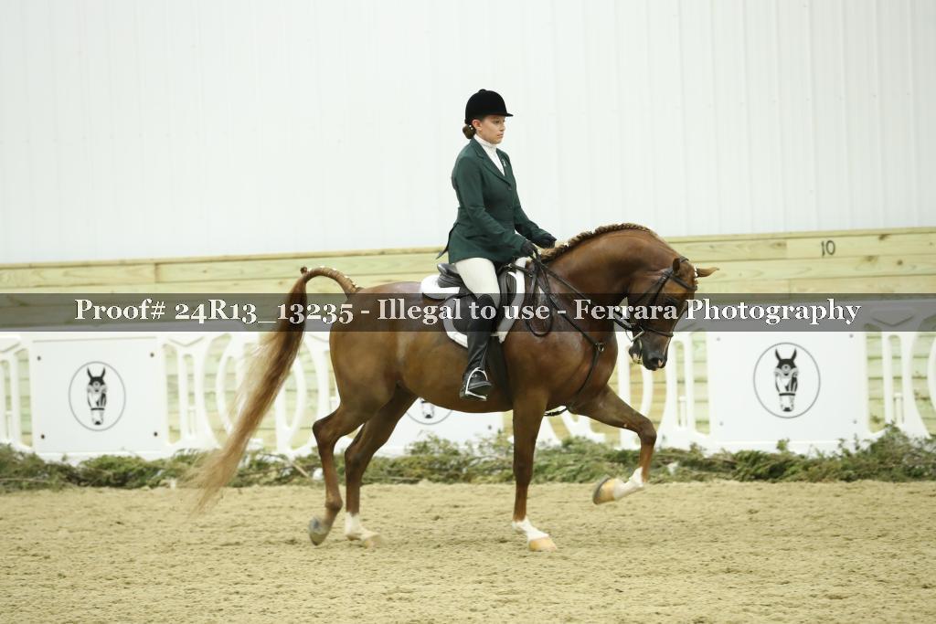 Proof Number 24R13_13235