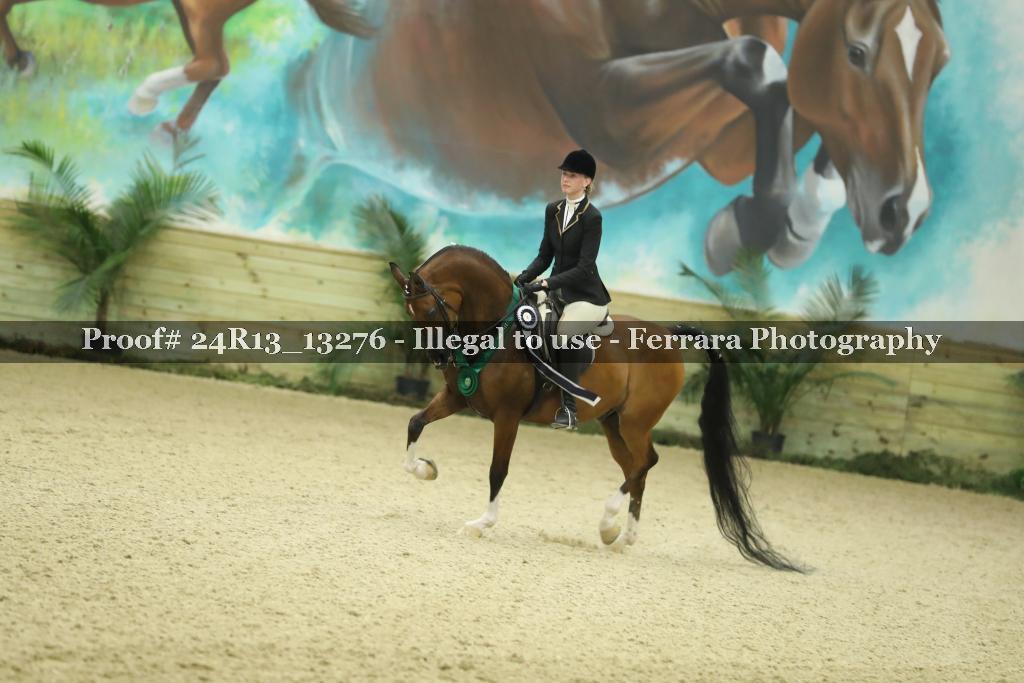Proof Number 24R13_13276