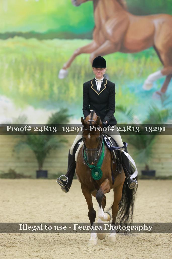 Proof Number 24R13_13291