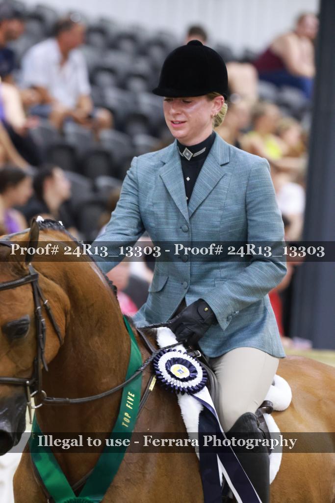 Proof Number 24R13_13303