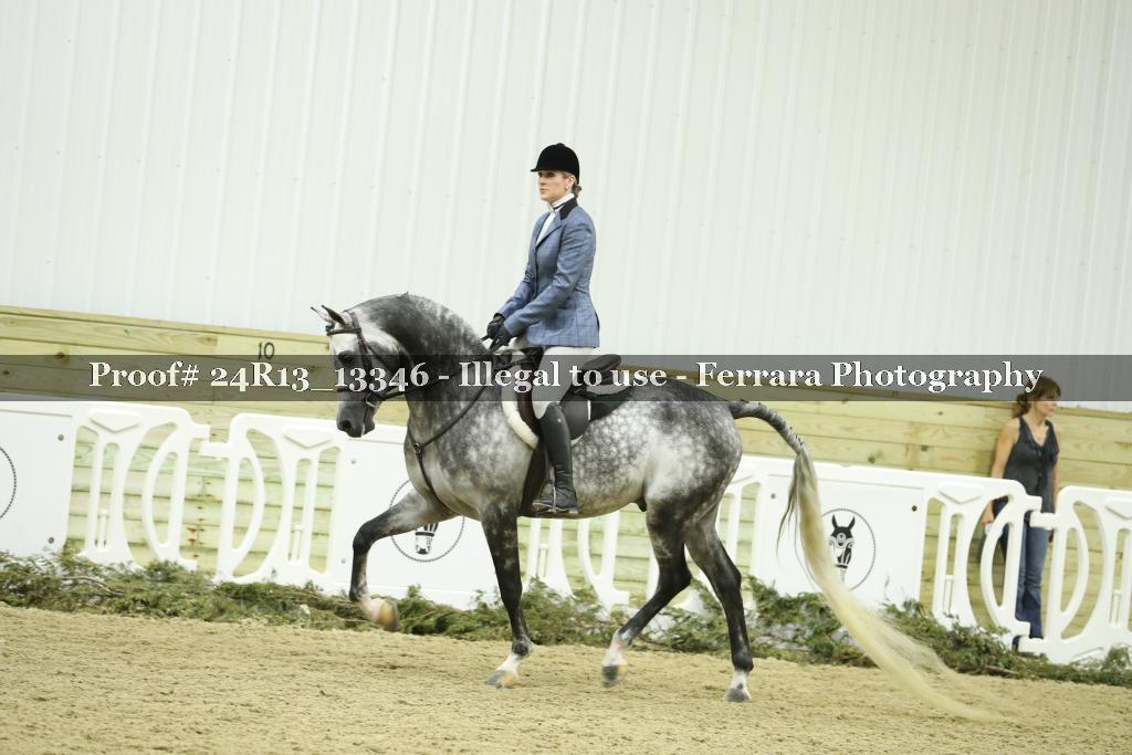 Proof Number 24R13_13346