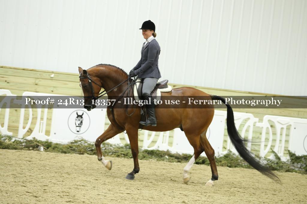 Proof Number 24R13_13357