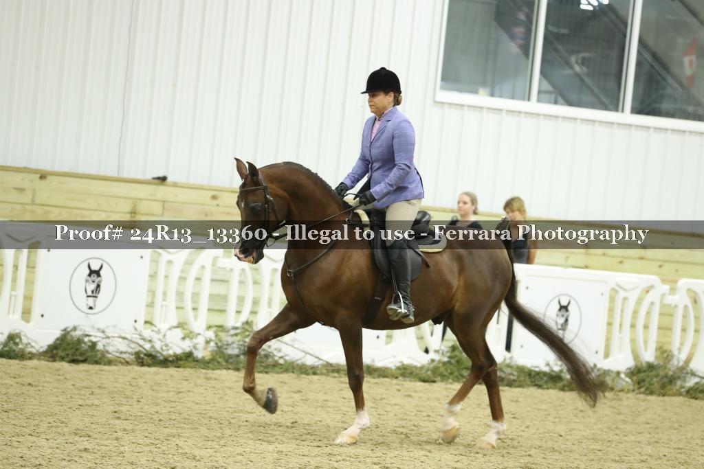 Proof Number 24R13_13360