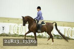 24R13_13361 thumbnail