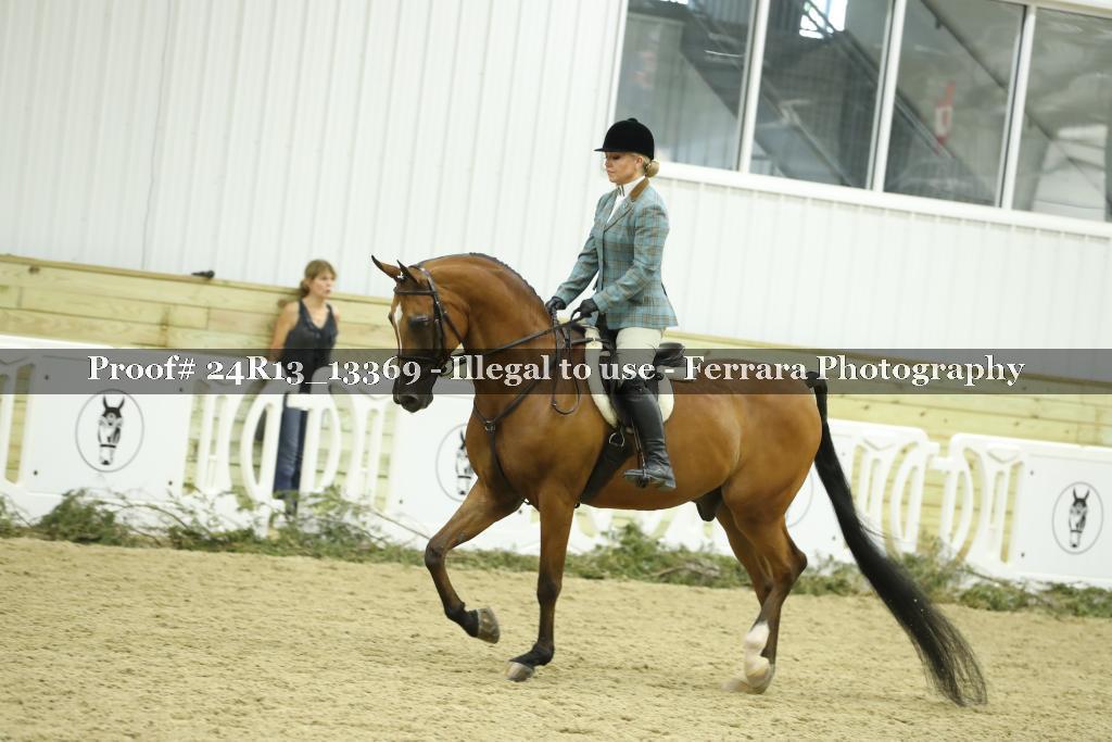 Proof Number 24R13_13369