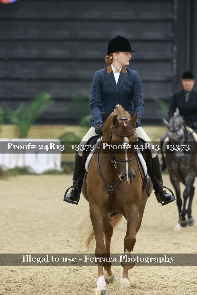 Proof Number 24R13_13373