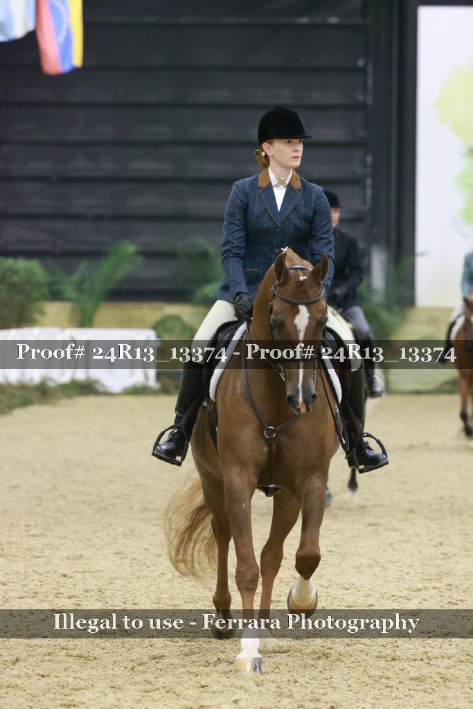 Proof Number 24R13_13374