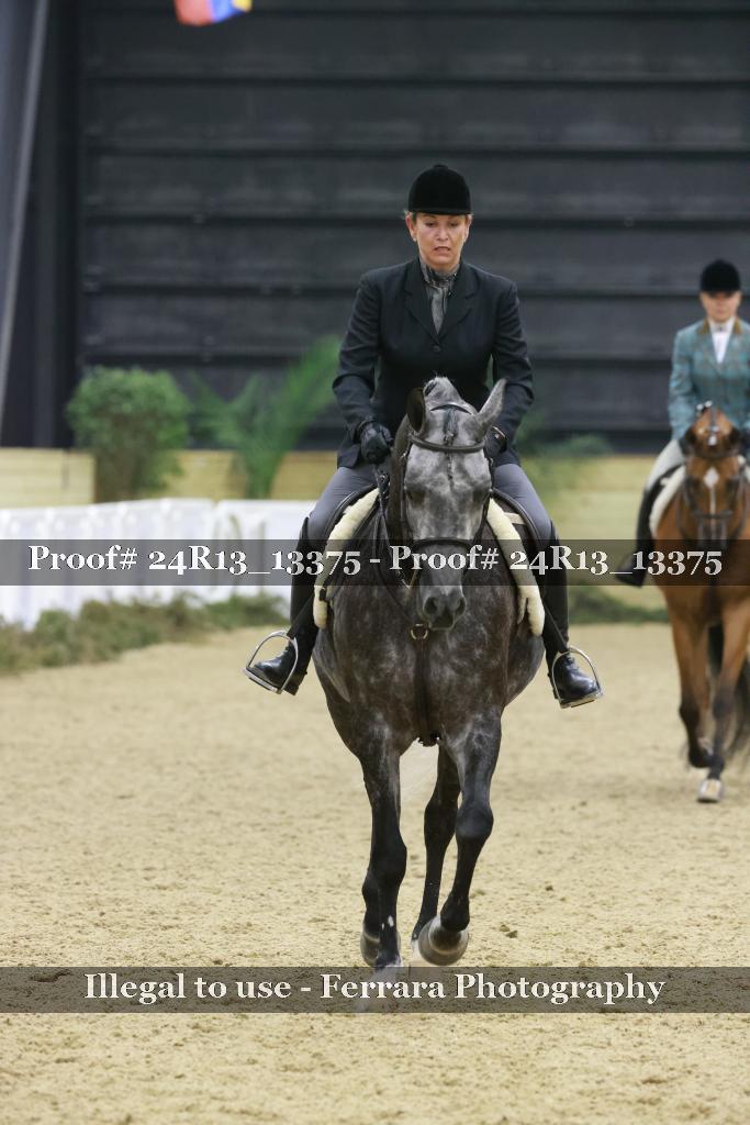Proof Number 24R13_13375