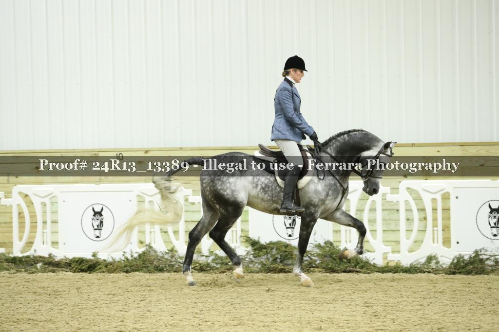 Proof Number 24R13_13389