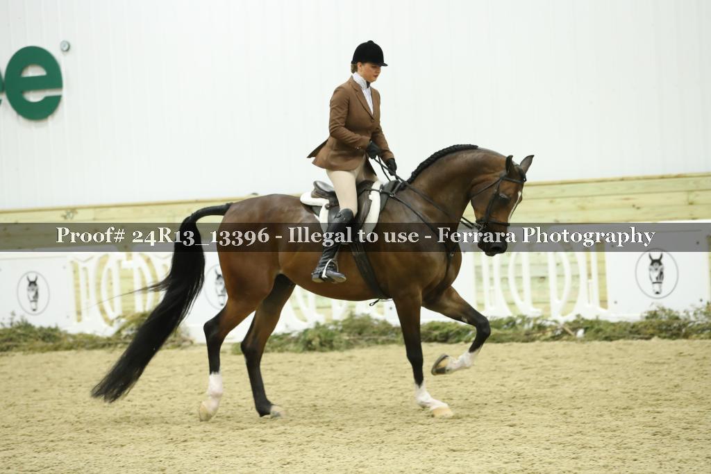 Proof Number 24R13_13396