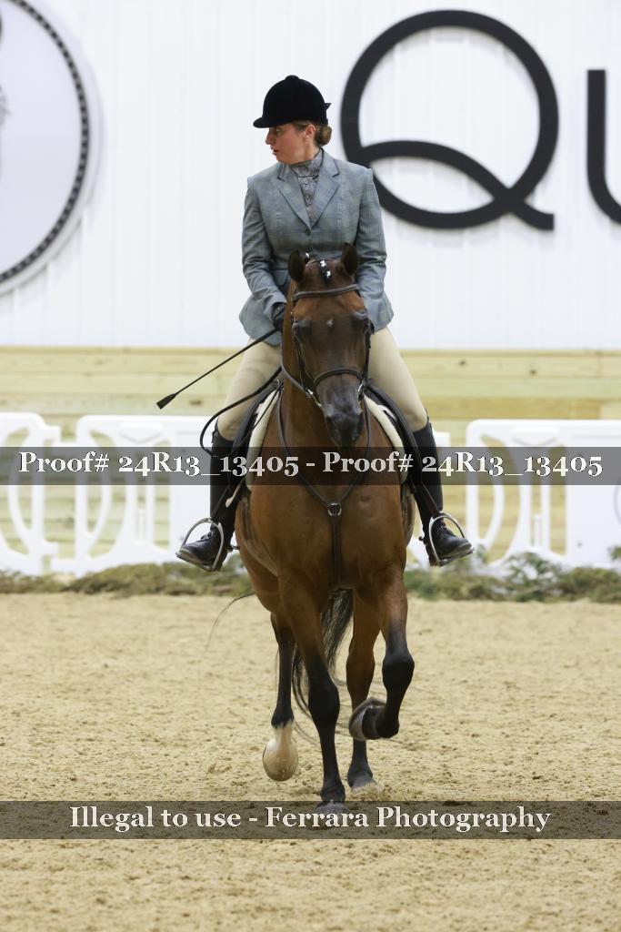 Proof Number 24R13_13405