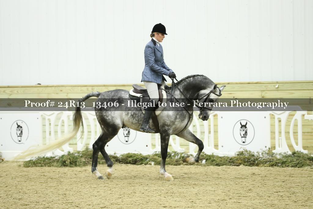 Proof Number 24R13_13406