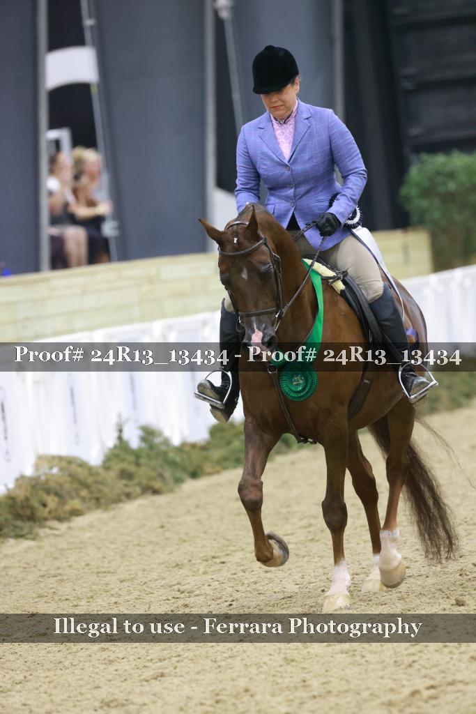 Proof Number 24R13_13434