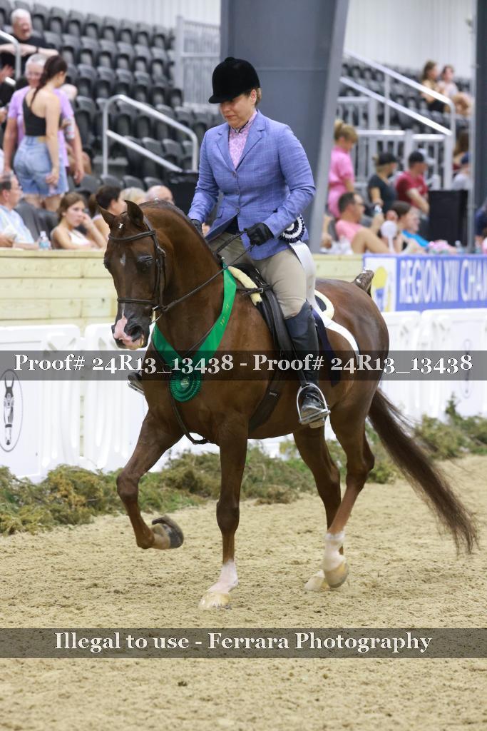 Proof Number 24R13_13438