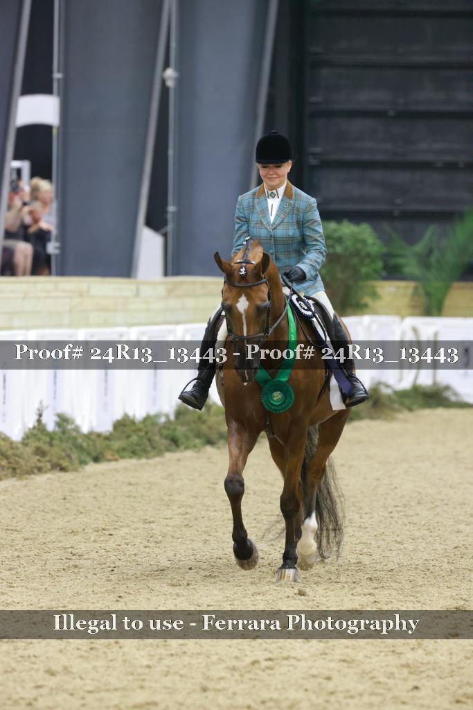 Proof Number 24R13_13443
