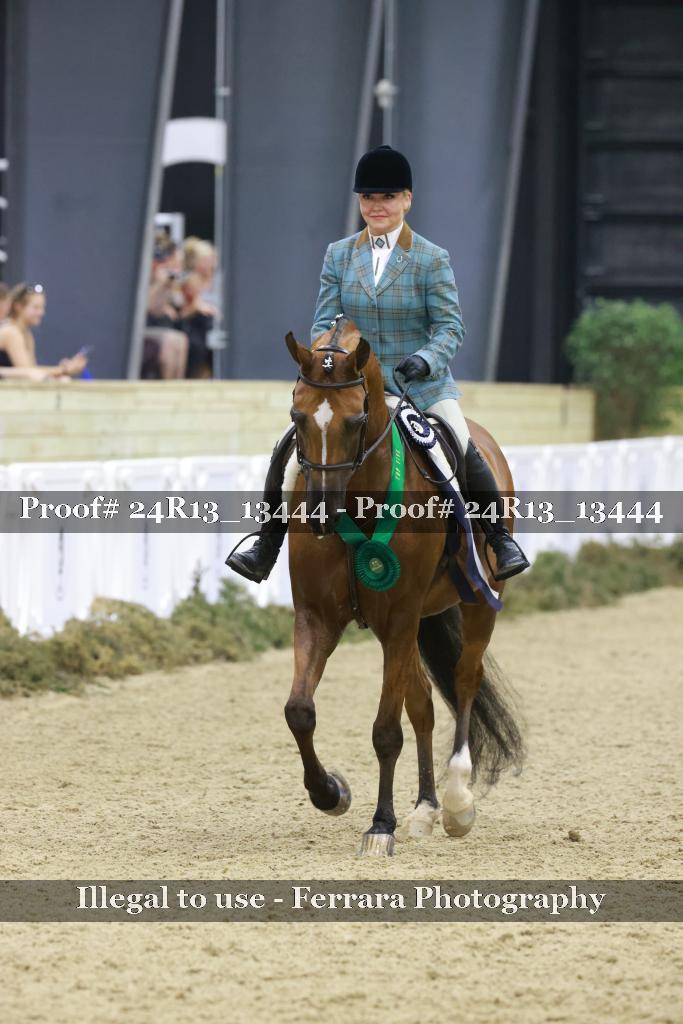 Proof Number 24R13_13444