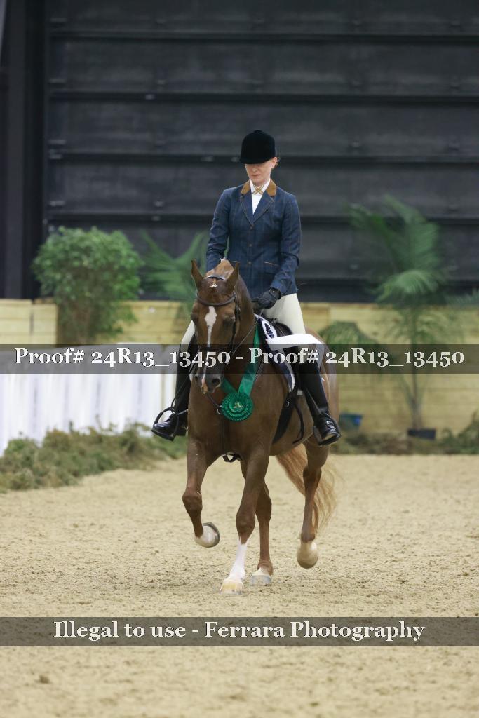 Proof Number 24R13_13450