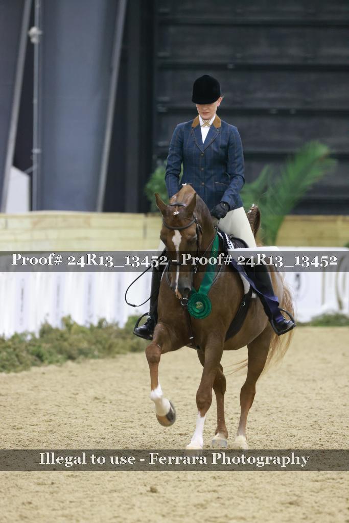 Proof Number 24R13_13452