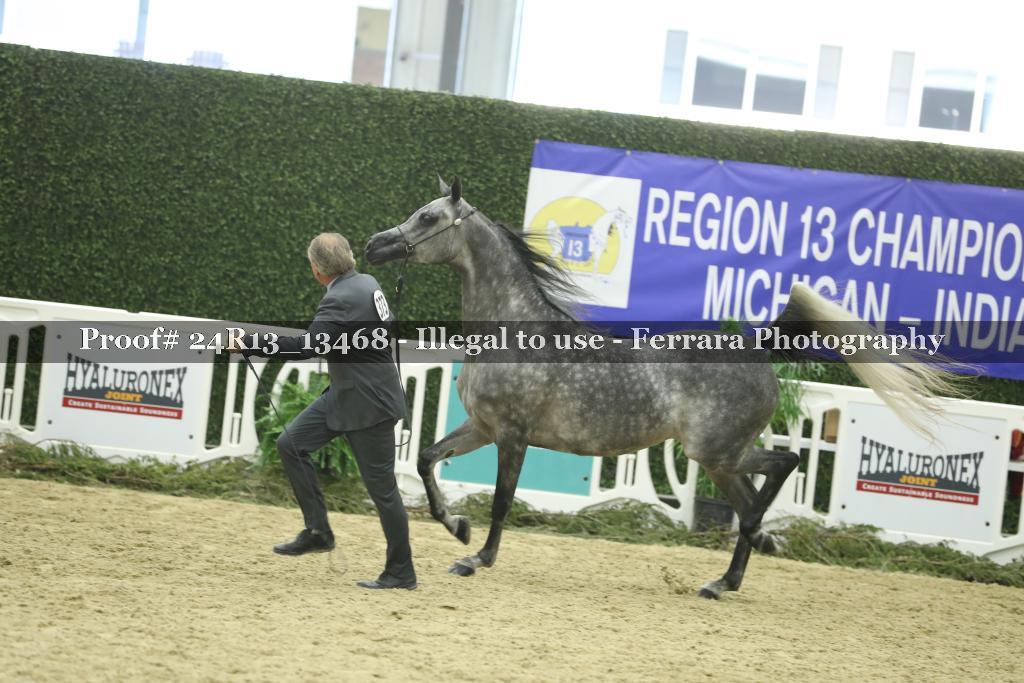 Proof Number 24R13_13468