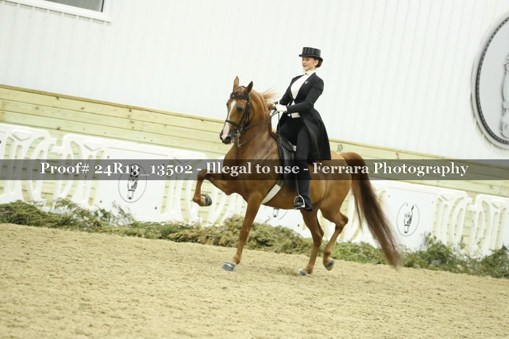 Proof Number 24R13_13502