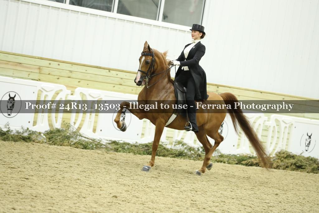 Proof Number 24R13_13503