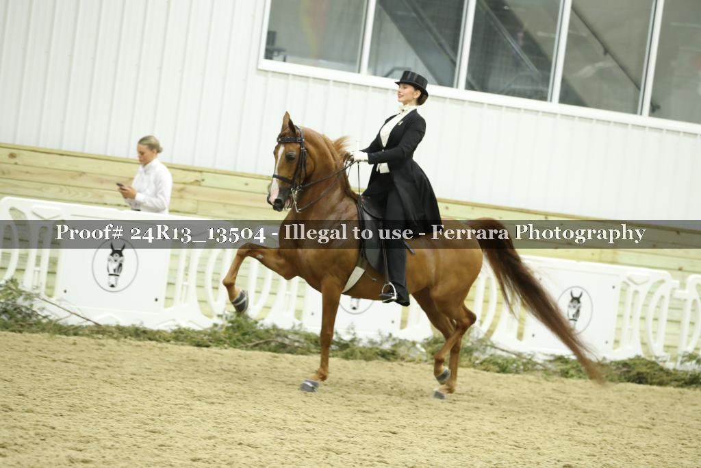 Proof Number 24R13_13504