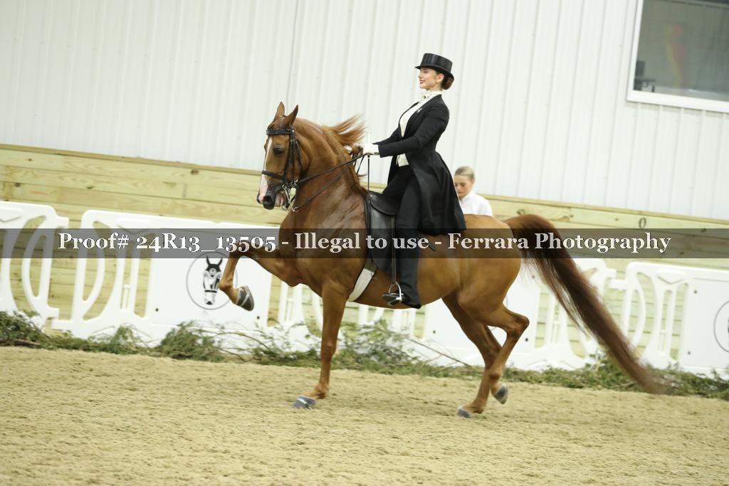 Proof Number 24R13_13505