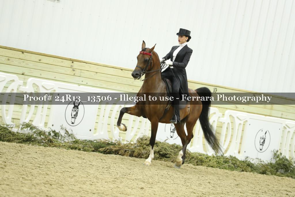 Proof Number 24R13_13506