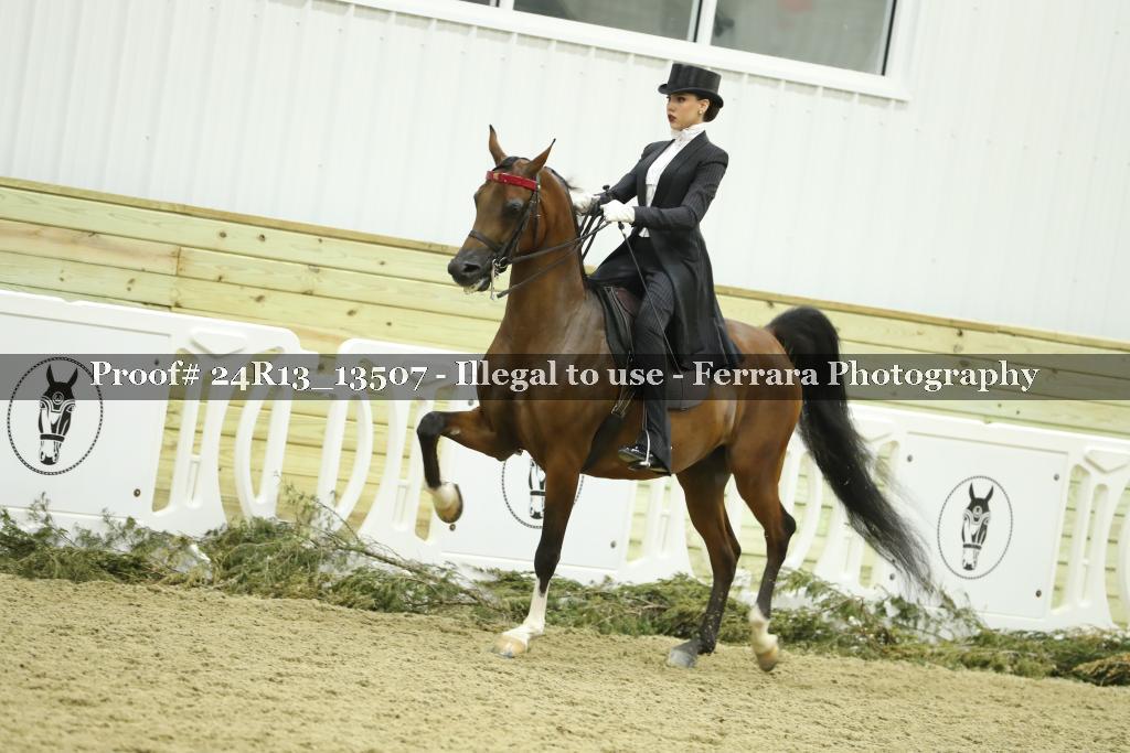 Proof Number 24R13_13507