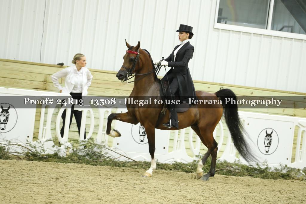 Proof Number 24R13_13508