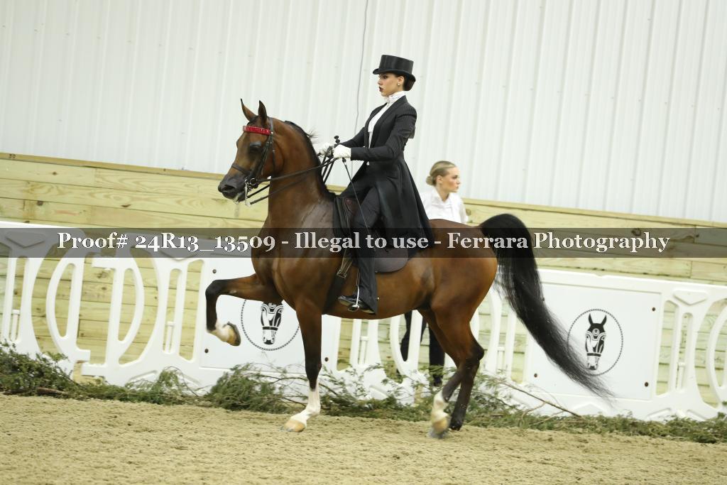 Proof Number 24R13_13509