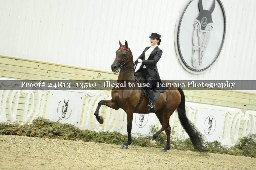 Proof Number 24R13_13510