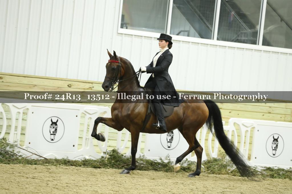 Proof Number 24R13_13512