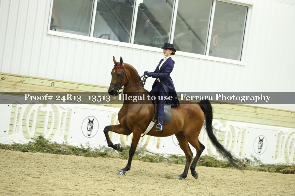 Proof Number 24R13_13513