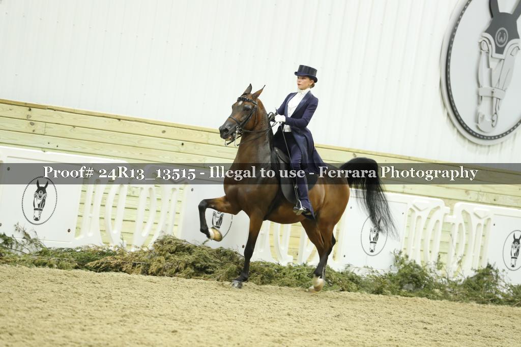 Proof Number 24R13_13515