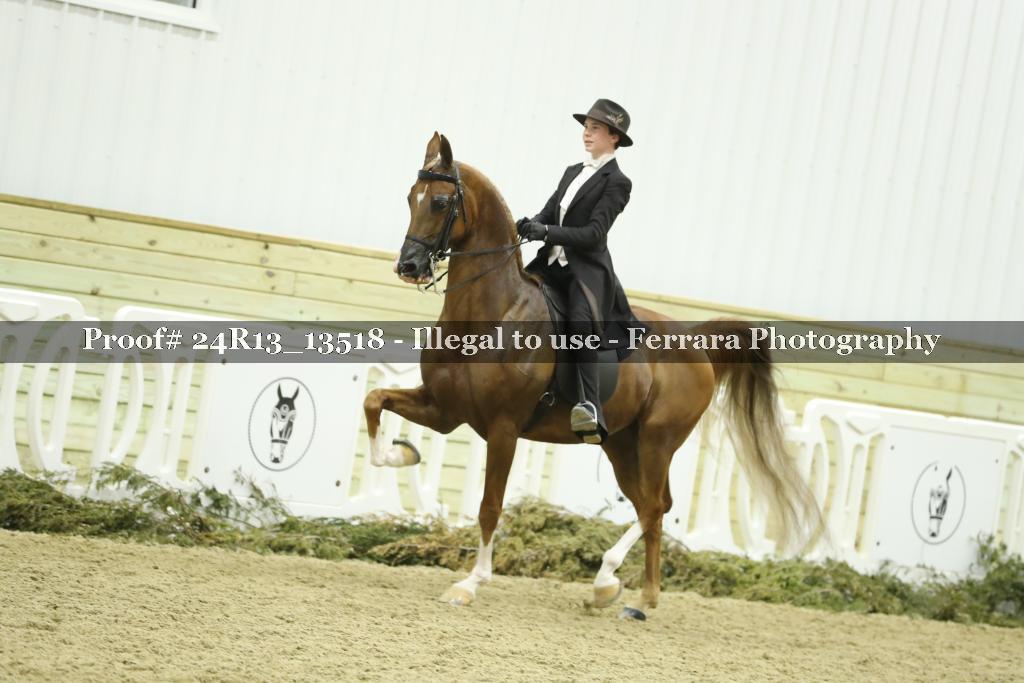 Proof Number 24R13_13518