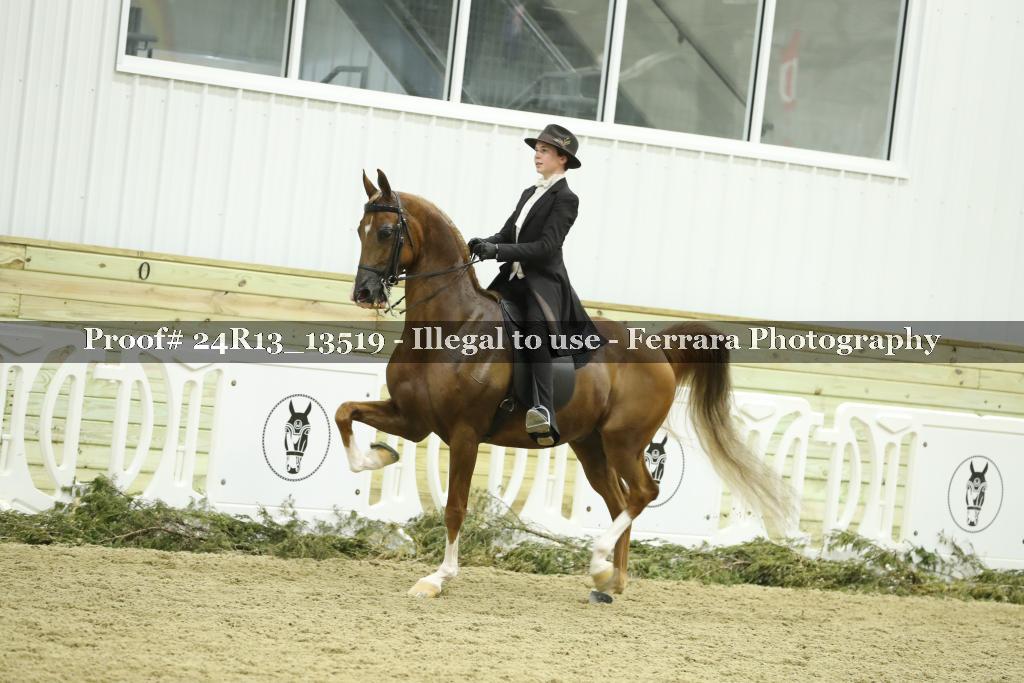 Proof Number 24R13_13519