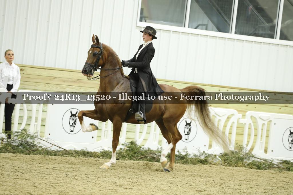 Proof Number 24R13_13520