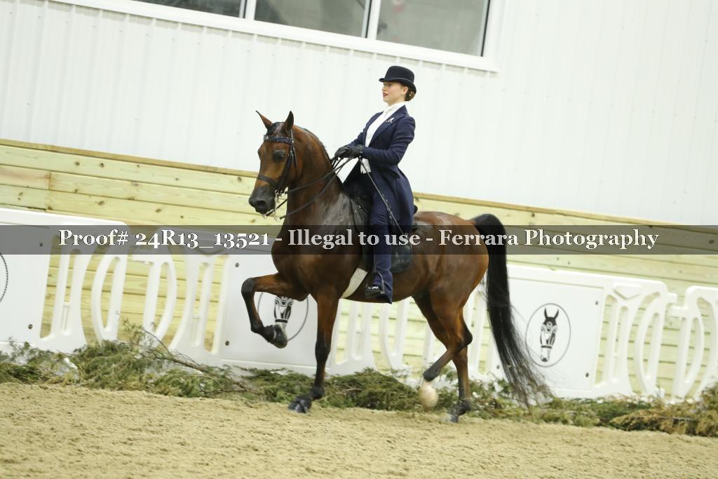 Proof Number 24R13_13521