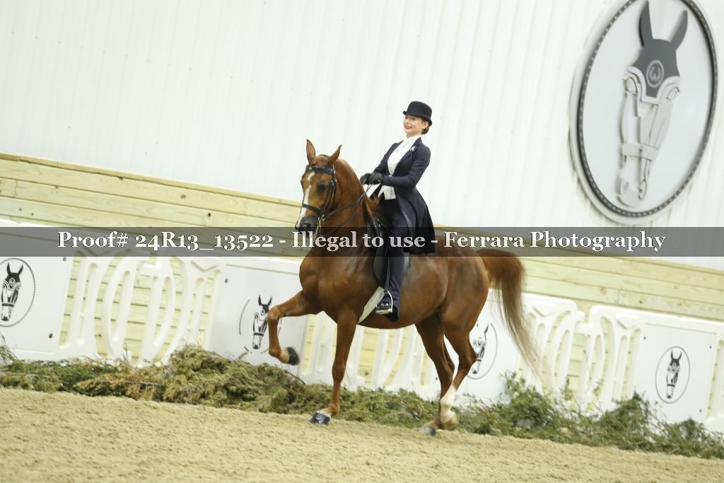 Proof Number 24R13_13522