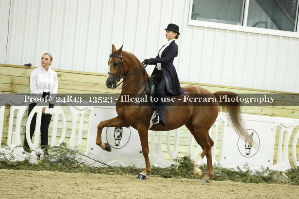 Proof Number 24R13_13523
